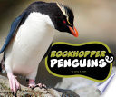 Rockhopper Penguins cover