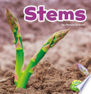 Stems cover