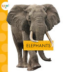 Elephants cover