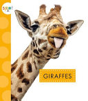 Giraffes cover