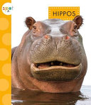 Hippos cover