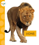 Lions cover
