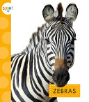Zebras cover