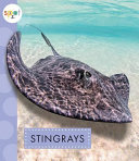 Stingrays cover