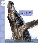 Whales cover