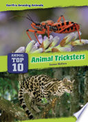 Animal Tricksters cover