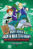 The Fate of the Irish Treasure cover