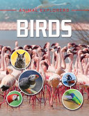 Birds cover