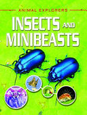 Insects and Minibeasts cover