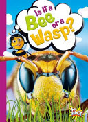 Is It a Bee or a Wasp? cover