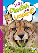 Is It a Cheetah or a Leopard? cover
