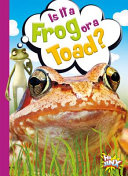 Is It a Frog or a Toad? cover