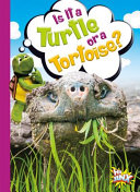 Is It a Turtle or a Tortoise? cover