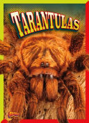 Tarantulas cover
