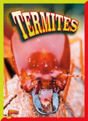 Termites cover