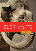 Elephant cover