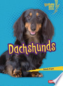 Dachshunds cover