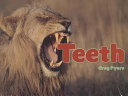 Teeth cover