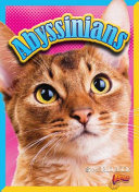 Abyssinians cover