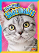 American Shorthairs cover