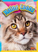 Maine Coons cover