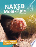 Naked Mole-Rats cover