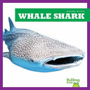 Whale Shark cover
