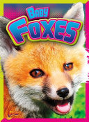 Baby Foxes cover