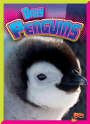 Baby Penguins cover