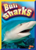 Bull Sharks cover