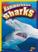 Hammerhead Sharks cover