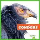 Condors cover