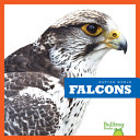 Falcons cover