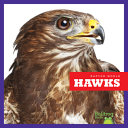 Hawks cover