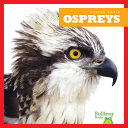 Ospreys cover