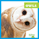 Owls cover