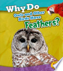 Why Do Owls and Other Birds Have Feathers? cover