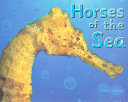 Horses of the Sea cover