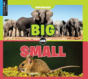 Big and Small (Lightbox) cover