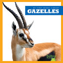 Gazelles cover
