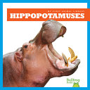 Hippopotamuses cover
