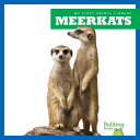 Meerkats cover