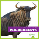 Wildebeests cover