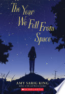 The Year We Fell from Space cover