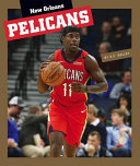 New Orleans Pelicans cover
