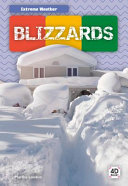 Blizzards cover