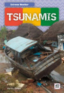Tsunamis cover