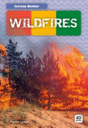 Wildfires cover