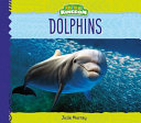 Dolphins cover
