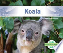 Koala cover
